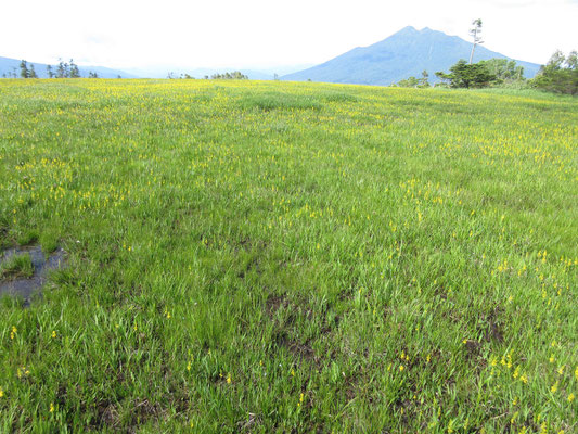 燧ヶ岳の方