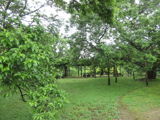 城址公園で山旅の締め括り　有名処の山々よりこうした密やかな山歩きが好みであります