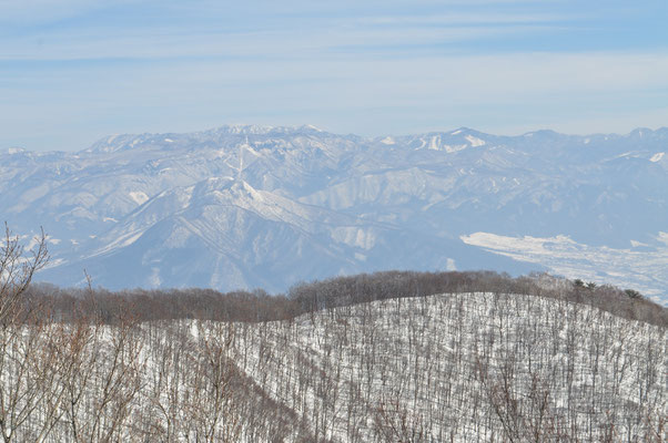 落葉樹で透けた山稜のむこうは志賀高原の山々