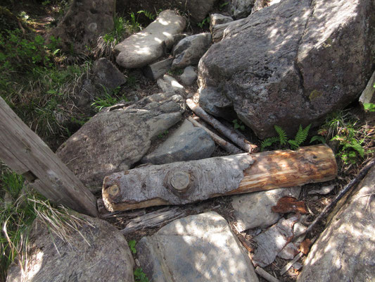 工夫された登山道4（この木があるだけで断然、下りやすい）