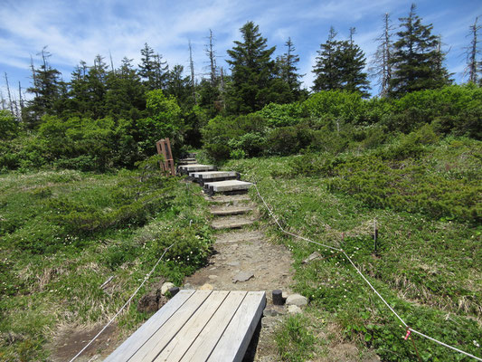 多くの登山客がここで休憩したことだろう　すでに人影もない静かな木道