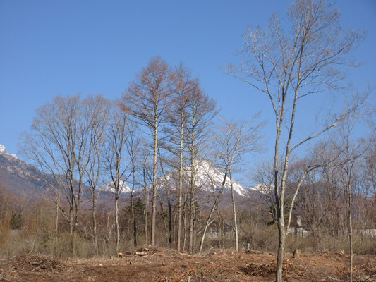 八ヶ岳