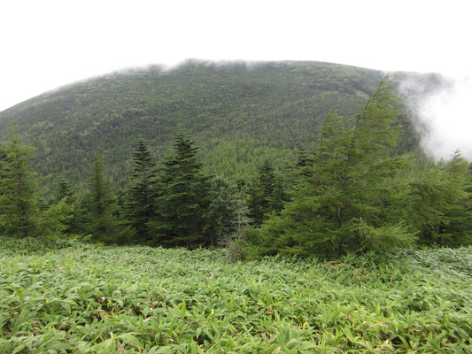 ガスで覆われる直前の前掛山方面　昨日はあそこを降りてくるのが長かった