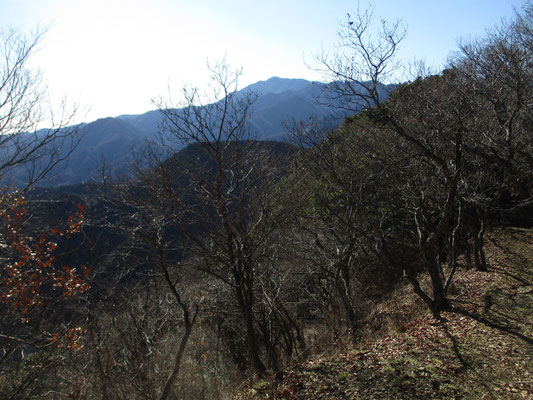 皮肉にも何も遮るもののない発句石広場からの大山が一番きれいに見えます