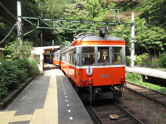 箱根湯本駅を出ると、すぐに80‰（パーミル、1000ｍ走るうちに80ｍ昇る）という途轍もない急勾配に入る　しかもこの鉄道は「粘着式鉄道」で普通の鉄道と同じレールと車輪の摩擦だけで昇っていく方式　たった一駅だったが、大満足で次の塔ノ沢駅で下車　