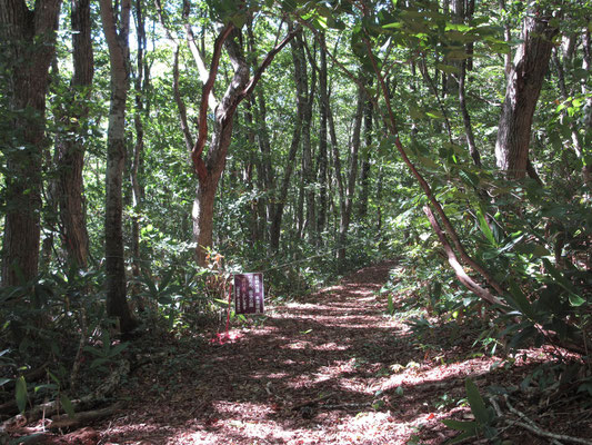 登って稜線の縦走路まで出たら、南から来る探勝路には「通行止め」の札がかかっていた