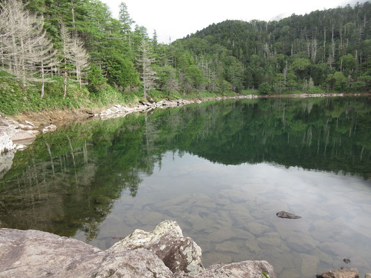 清らかな水の雄池　小屋で利用する水はここからの湧き水らしい　消毒して使用、テント場の水にもなっている