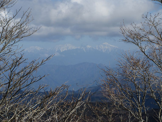 木立越しの南アルプス　いつもと逆に見える　右から、三角にカッコいい聖岳、大きな赤石岳、そして荒川岳