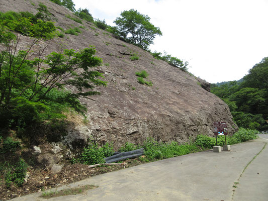 一面の岩