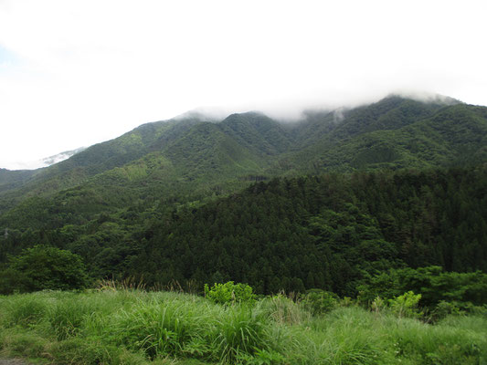 稜線部が雲に隠れているが、ようやく下山して姿を見た丹沢山塊　加入道山か