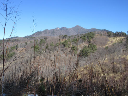 行く手に茅ヶ岳