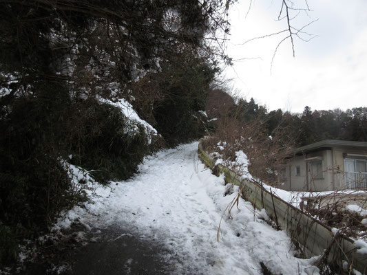 最後、住宅地に出るこの坂道の下りが一番怖かった 思いがけないスノーハイキングの半日でした