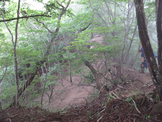 こんな両側が切れ落ちた稜線箇所がわりと多い
