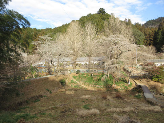 通りから外れた向こうに、昔の木造小学校が見える　いまでは月・火・水日没まで営業のパン屋さんが入っているらしい　残念ながら帰路には時間切れで寄れなかった