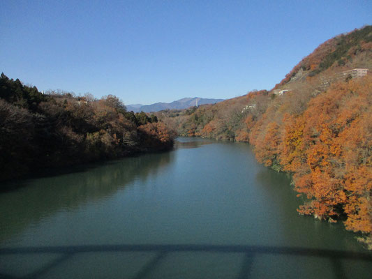 弁天橋を渡ります　相模湖の湖岸は紅葉していてきれいです