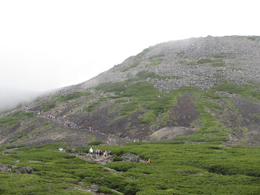 いつの間にかガスに包まれた山頂方面　登山道には人がいっぱい次々と登っていく　さすが乗鞍岳！という光景