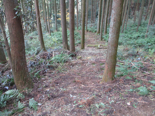 平山坂上に近づく一帯は、先日よりたびたび事務局がヤブの整備をした　特にこの先の高圧鉄塔の箇所はススキなどのヤブが深かったので、かなり歩きやすくなっている