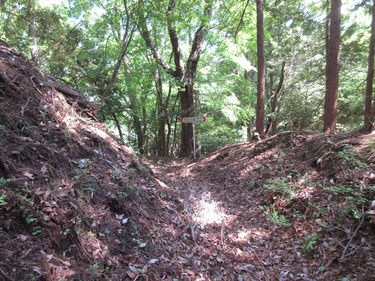 標識が見えると、沢に出合い