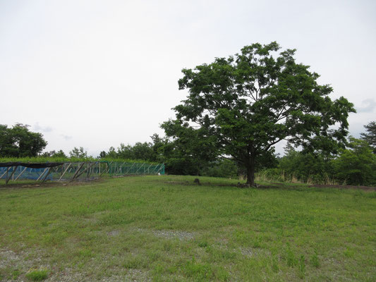 こんな草地の一角に陣取ってスケッチ開始