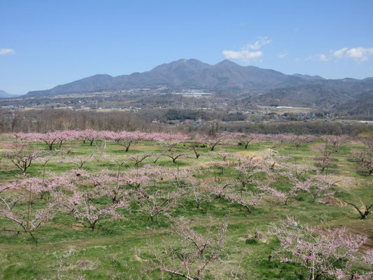 前日行った新府城址付近まで、通り道がてら寄ってみる
