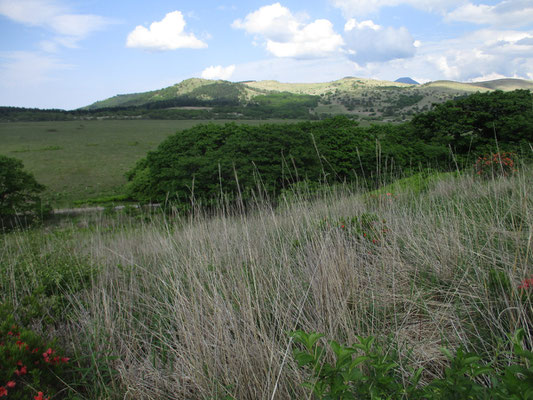 最後に振り返ると、歩いてきた物見石と南の耳の間に蓼科山の頭が見えた