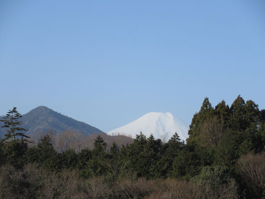 駐車した場所からも富士山の頭が見える　黒々した周りの景色とは裏腹な純白さが何とも不思議