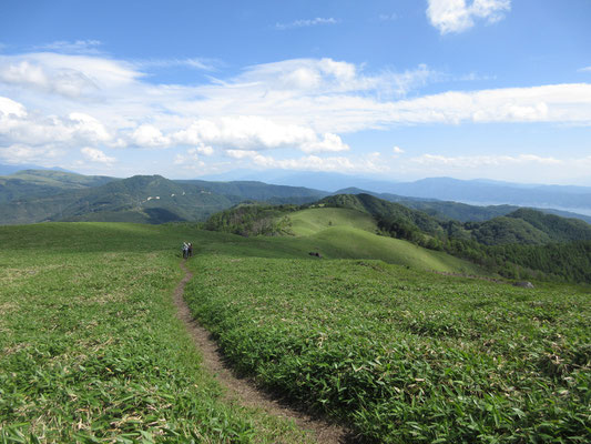まさに高原、と言った縦走路　後方は霧ヶ峰方面、鷲ヶ峰が見える