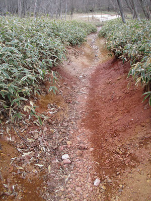 長七郎山からの下りでは、こんな赤い道　火山性の山であることがよく分かる　向こうの小広い場所は真っ白　含まれている成分の違いなのだろうが、不思議な光景