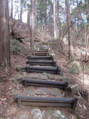 あとは階段が続き、一気に稜線に向かう