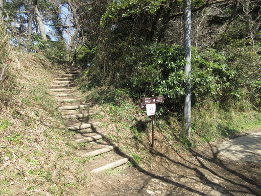 トイレから200ｍほど先に行き、もうひと登りすると〜