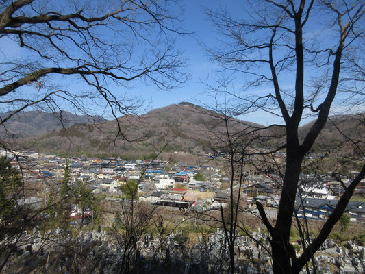 この蓑山は、蝋梅で有名な宝登山(ほとさん)の真向かいにある事を来てみて初めて気づく