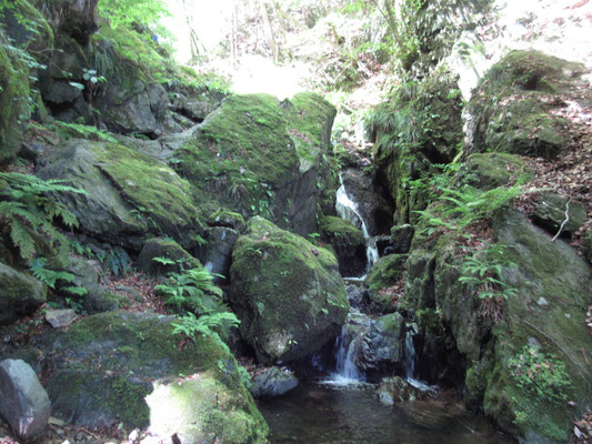 それなりに登山道がうまく付けられている　滑らないように注意