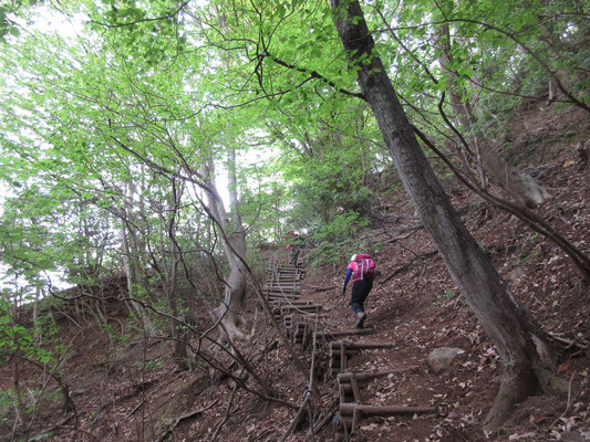 身支度をしてからダム脇の山道に入り、そこからいきなりの急登15分