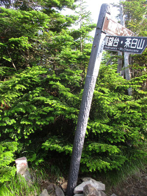 鬱蒼とした樹林に包まれた山頂