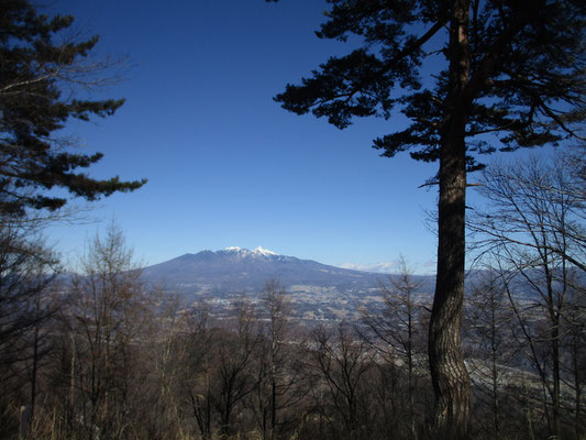 つぶらの松と八ヶ岳