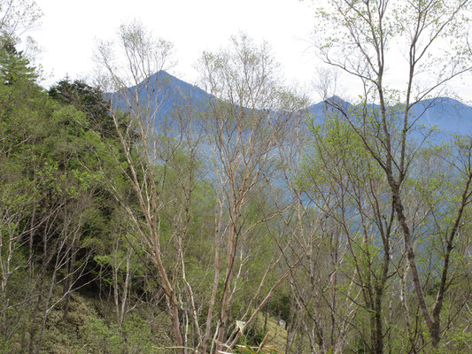 あとで調べてわかったが、こちらは聖に似た三角錐だが、静岡県境の池口岳と鶏冠山のようだ