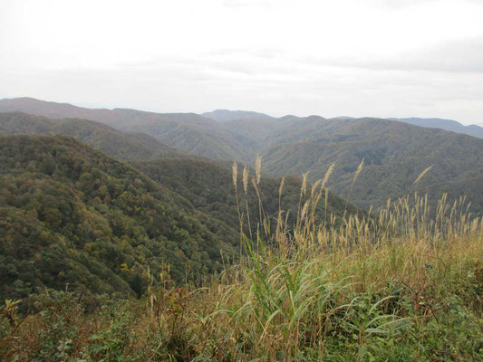 一番の展望地　しかし鳥海山は背中の方で藪となっているので見えません