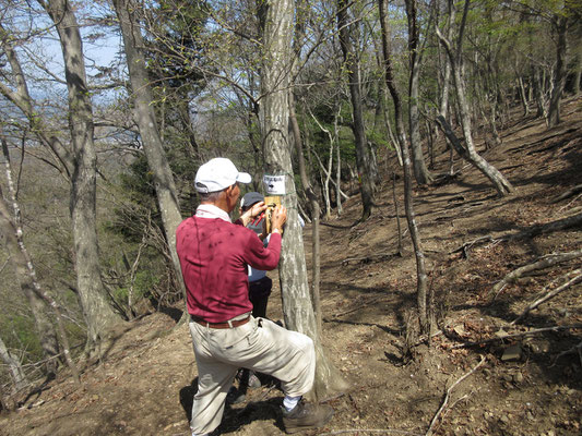 稜線の高取山に向かうポイントに道標を付けている　そのまま左手に道なりに行くと下山してしまう、見逃しやすい箇所