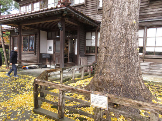 落ち着いた趣の館