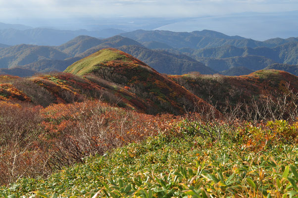 朝、山頂にて7