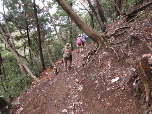 山神様のところで華厳山山頂まで登った本隊グループと合流し、下山