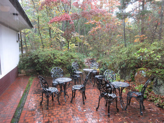 雨の美術館の中庭