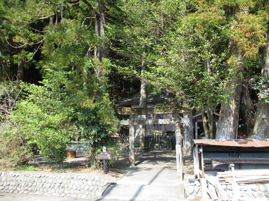 まさに神社の中から登りはじめます