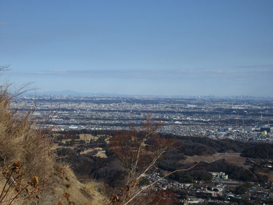 この日は遠望がきき、左奥には筑波山　右の方には新宿副都心のビル群が見えた