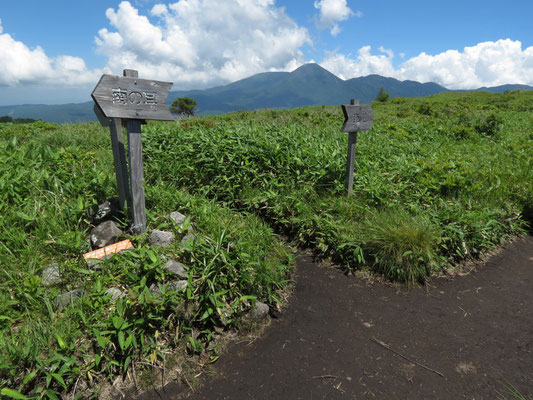 南の耳から殿城山への分岐までの道のりがとても長かった　とにかく炙られっぱなしで、いくら水分を摂ってもとっても足りない状態