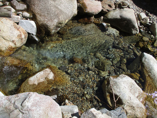 下りの途中　沢水はどこまでも透明できれい