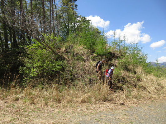 植林地を下ると林道に飛び出す　ここら辺りが栗屋峠とのこと　なので先程の三角点ピークはさながら栗屋峠ノ頭か