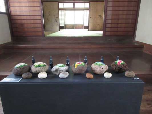 石のなかに納められた花の世界「植えかえ」