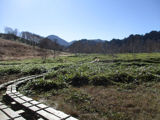 田の原湿原