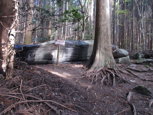 登山口から登りはじめてすぐに、これは「不動石」　岩の上にお不動様がおわせられ、その足元から清水が流れ落ちている　この山は昔から神の山として崇められてきたとのこと　